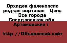 Орхидея фаленопсис редкая сортовая › Цена ­ 800 - Все города  »    . Свердловская обл.,Артемовский г.